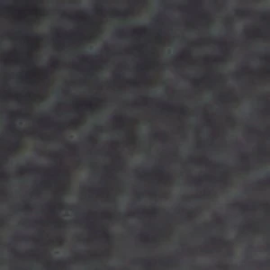 Adia - Image 2