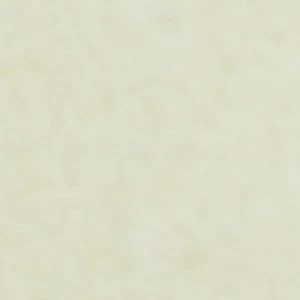 Allly - Image 2