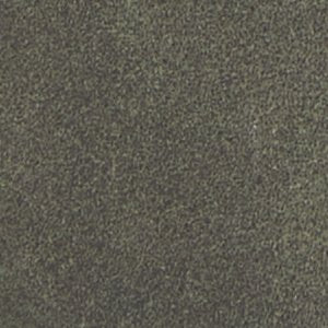 Artis - Image 2