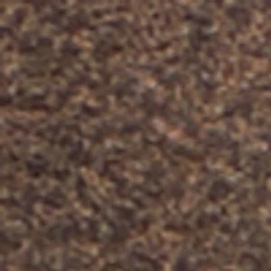 Ashtynn - Image 2