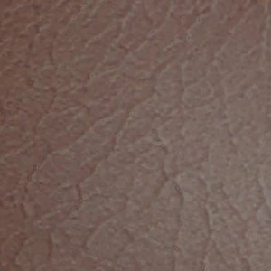 Belafonte - Image 2
