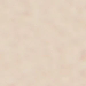 Blushh - Image 2