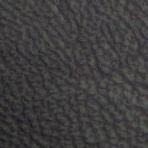 Caiya - Image 2