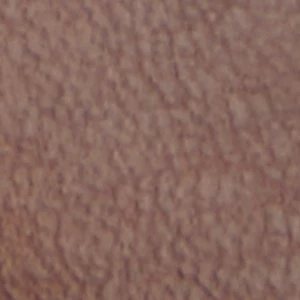 Caiya - Image 2