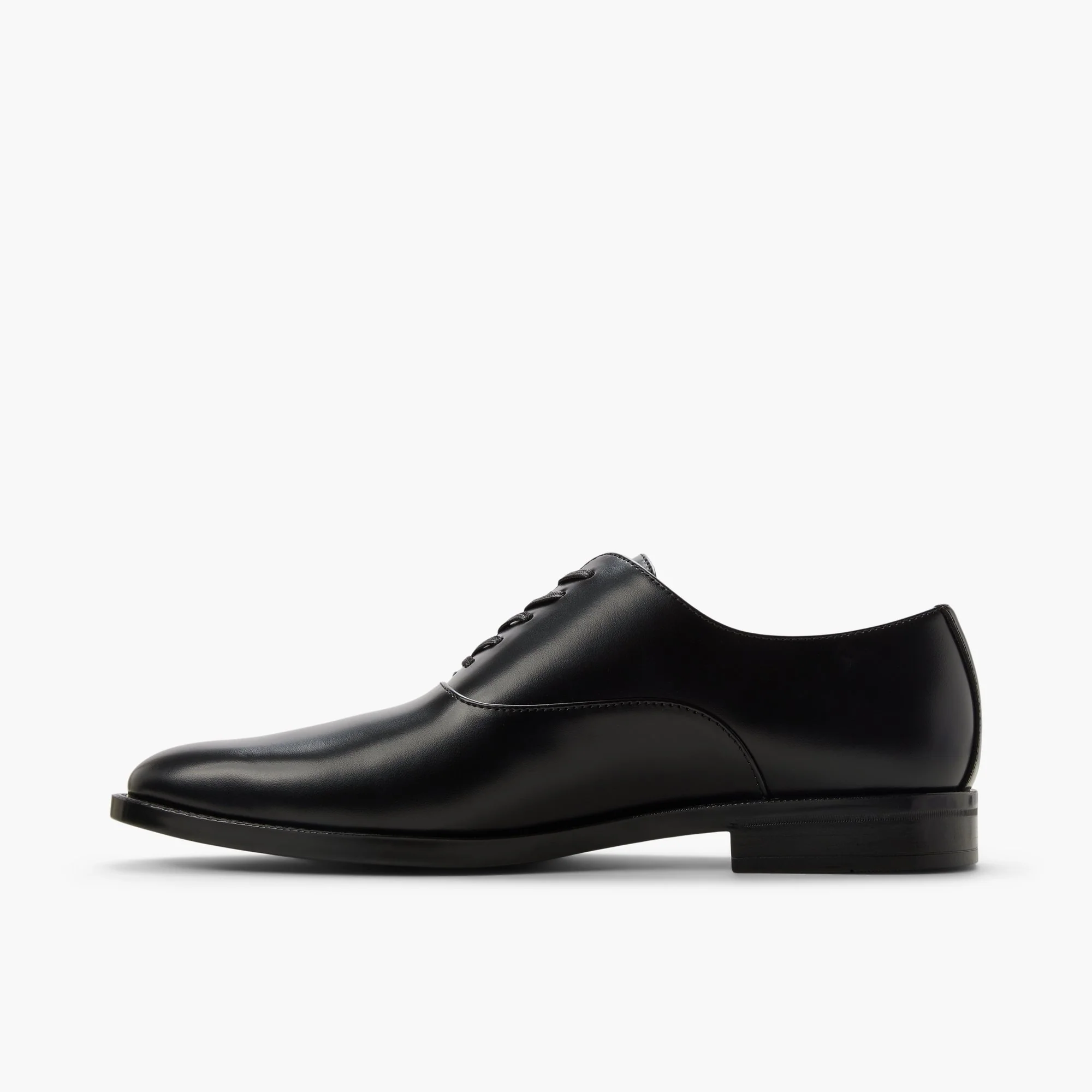 Caraway - Image 3