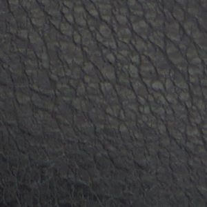 Carmichael - Image 2