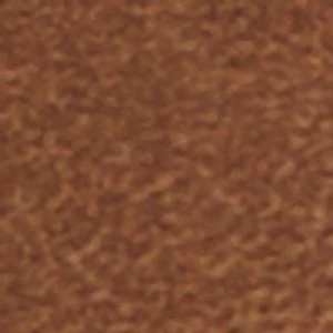 Cassi - Image 2