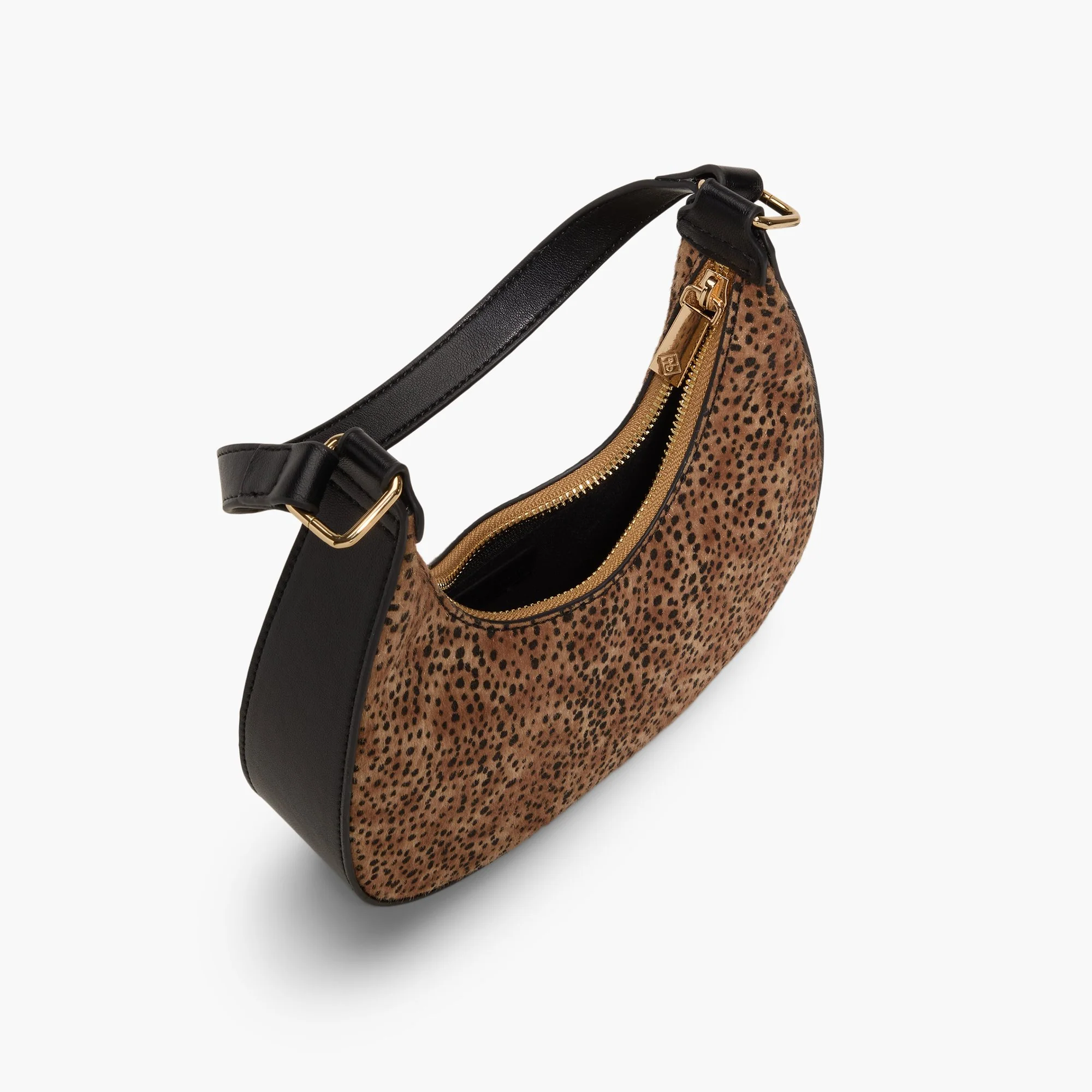 Celesty - Image 3