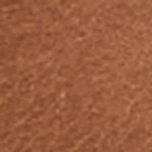Charliize2.0 - Image 2