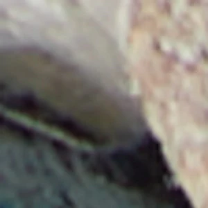 Cielia - Image 2