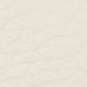 Dorra - Image 7