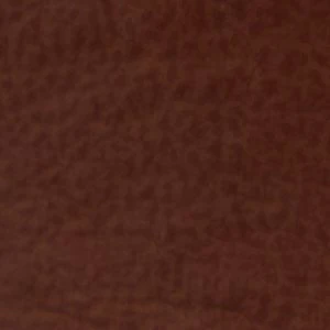 Elarah - Image 2