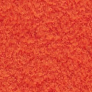 Ellajo - Image 7