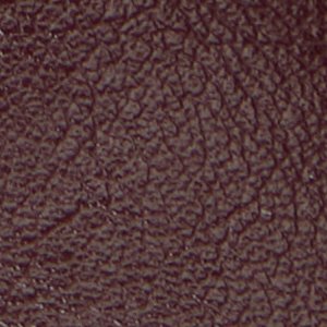 Elyiaa - Image 2
