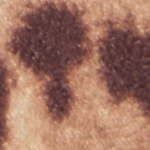 Elyiaa - Image 2