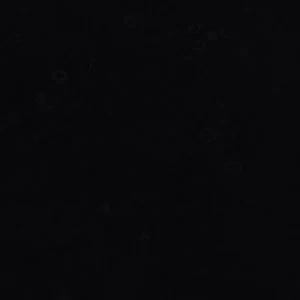 Fariah - Image 7