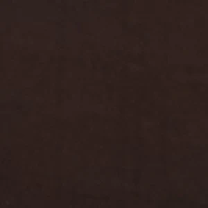 Faylynn - Image 7