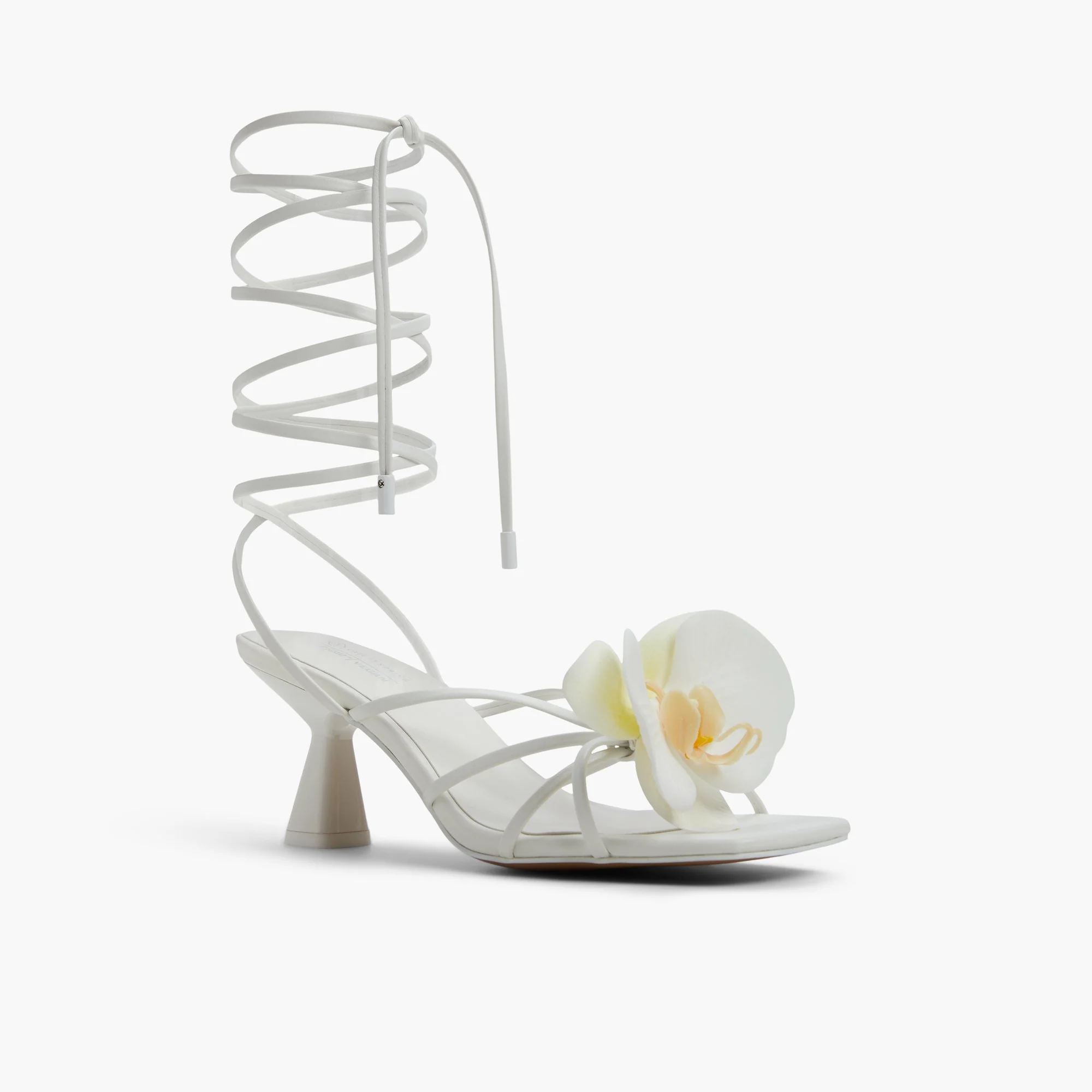 Flourish - Image 5