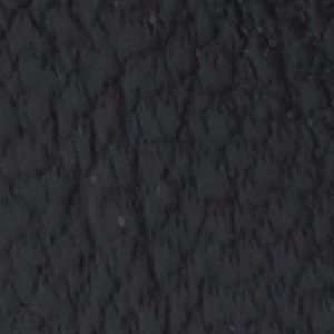 Forward - Image 2