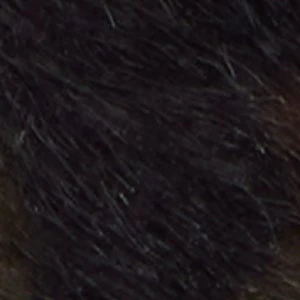 Forward - Image 2