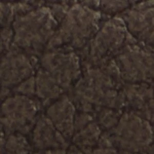 Freshy - Image 2