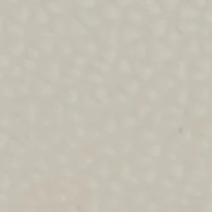 Freshy - Image 7