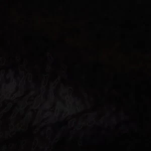Judie - Image 7