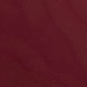 Kamelie - Image 2