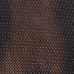 Kamelie - Image 2