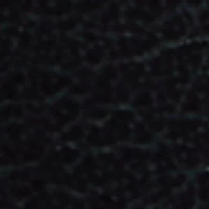 Lydiia - Image 2