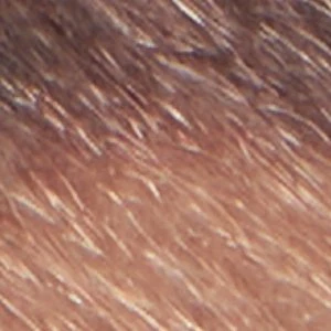 Maevyn - Image 2