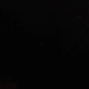 Millton - Image 2