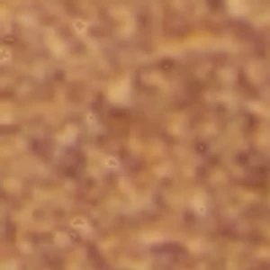 Moretti - Image 2