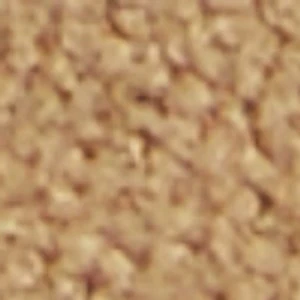 Nevaddaa - Image 2