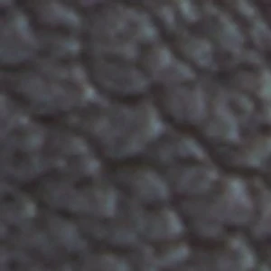 Novalie - Image 2