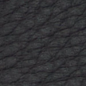 Palisaide - Image 2