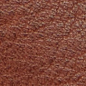 Palisaide - Image 2