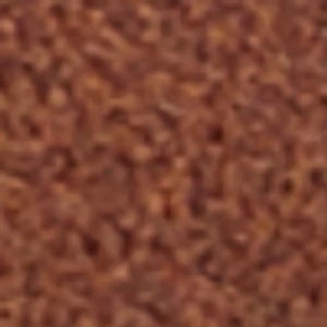 Pallisade - Image 2