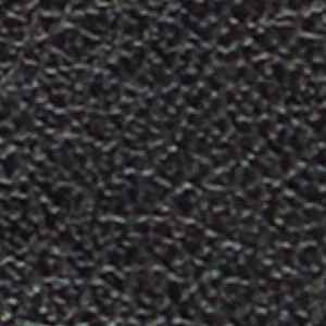 Paxie - Image 7