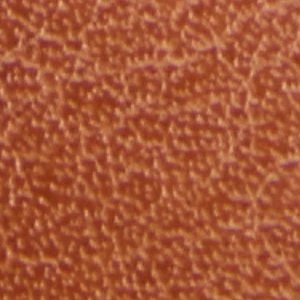 Payslee - Image 7