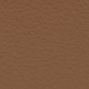 Polinaa - Image 2
