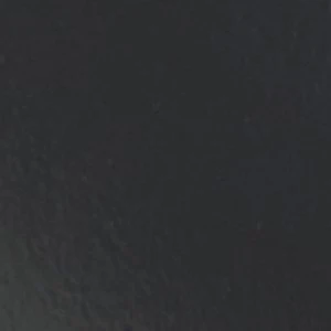 Salazar - Image 2