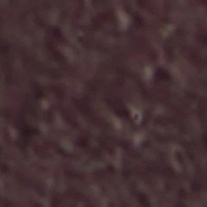 Saphiraa - Image 2