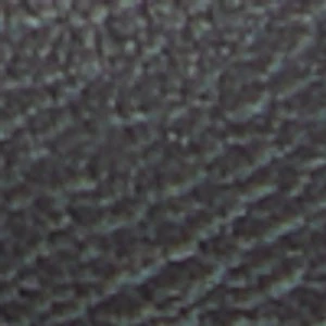 Saylorr - Image 2