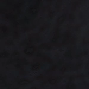 Seraphina - Image 2