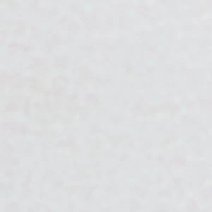 Shelly - Image 2