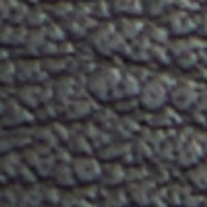 Shylo - Image 2