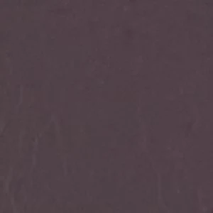 Sloanee - Image 2