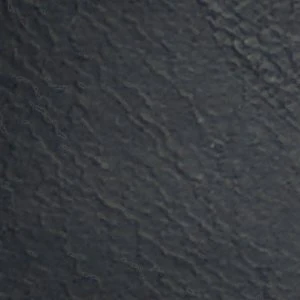 Taser - Image 2