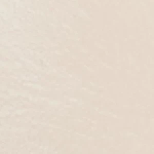 Toryy - Image 2